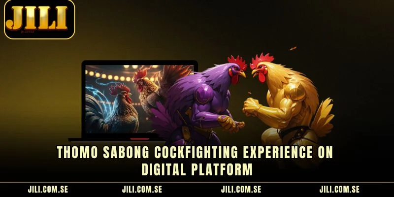 Thomo Sabong Cockfighting Experience On Digital Platform