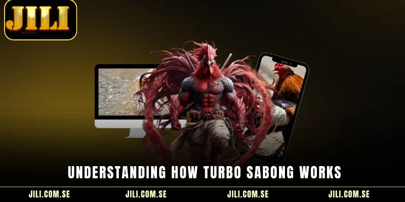 Understanding how turbo sabong works